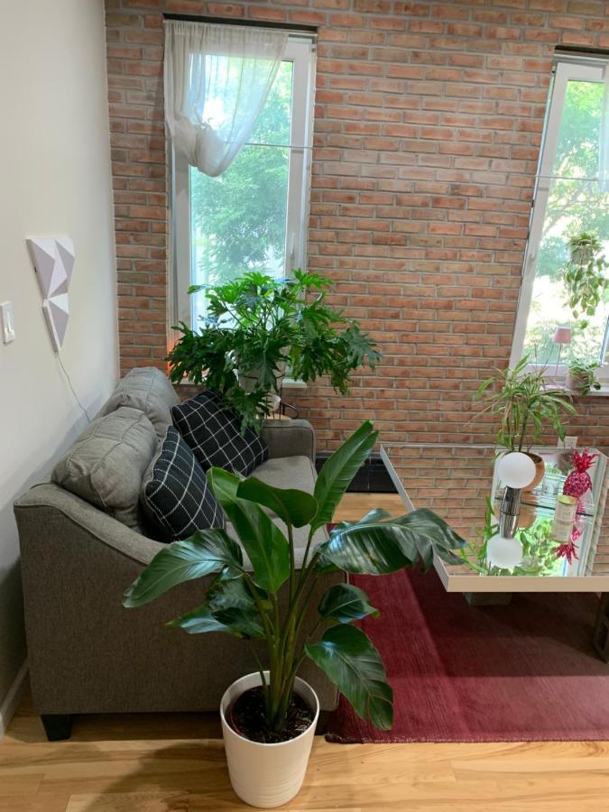 Апартаменты Urban Jungle Oasis In Queens! Нью-Йорк Экстерьер фото